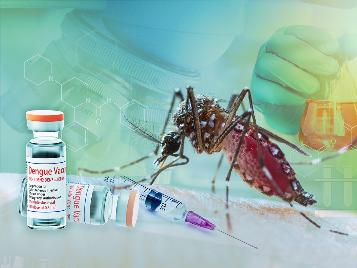 Vietnam to test Japanese dengue vaccine amid a sharp rise in infections